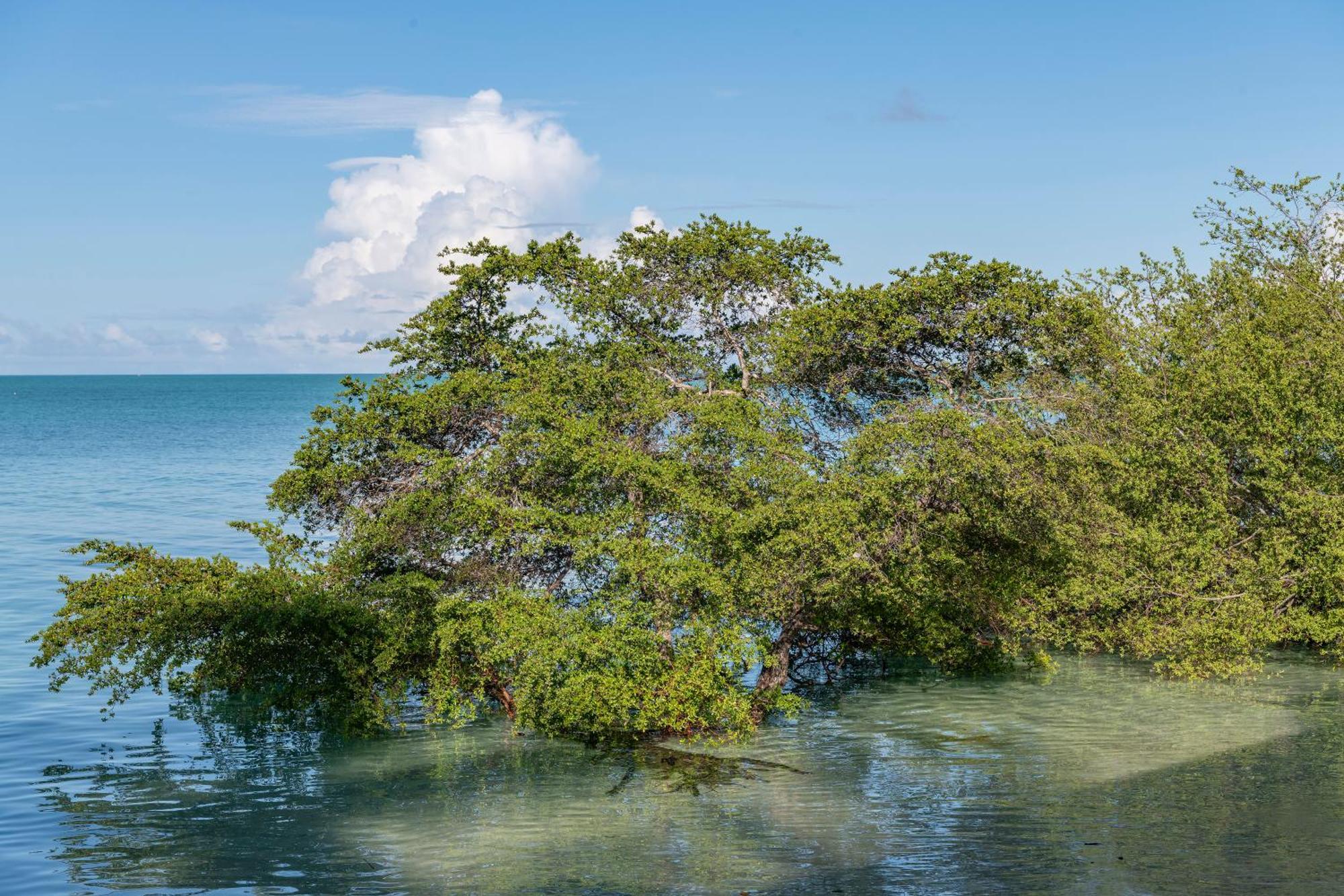 Nunukan Island Resort Maratua Island المظهر الخارجي الصورة